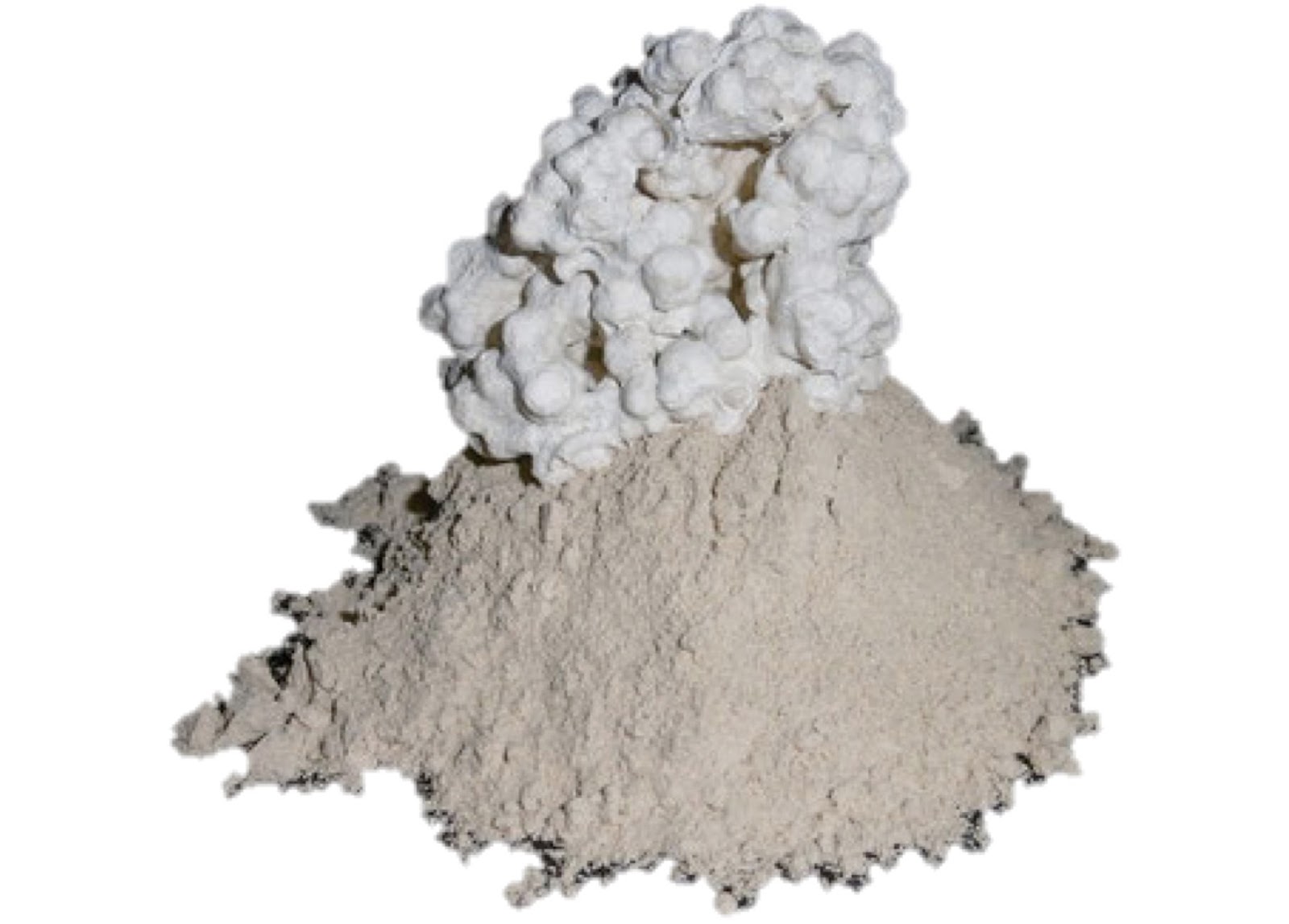 Lithothamne naturel - Image 2