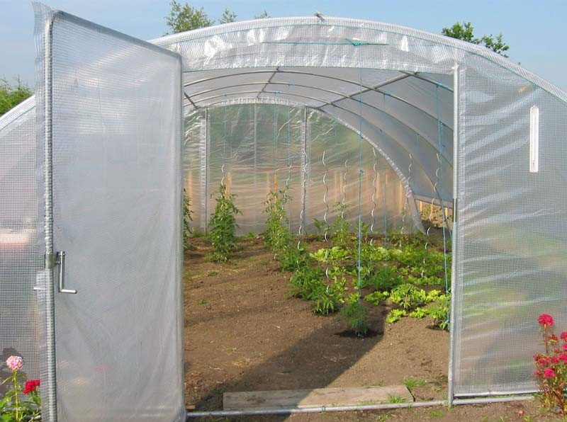 Serre maraîchère aquaponie extra large - 34,80 à 69,60 m² - Image 7